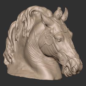 Horse Head